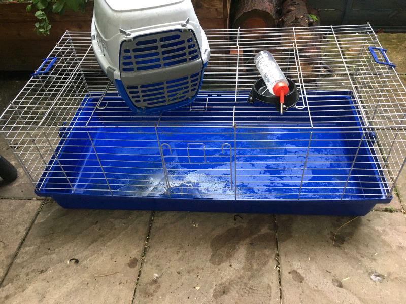 asda rabbit hutch